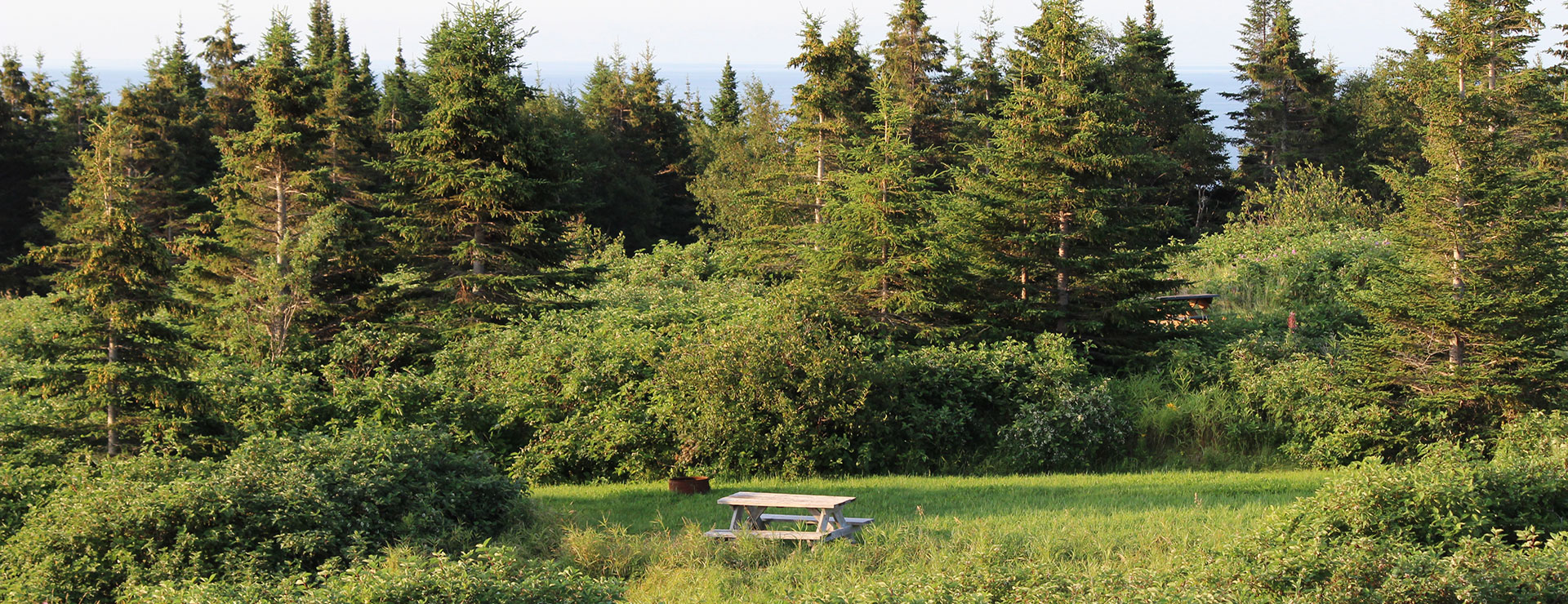 Photos du camping à Percé